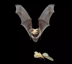 说说光污染有哪些危害