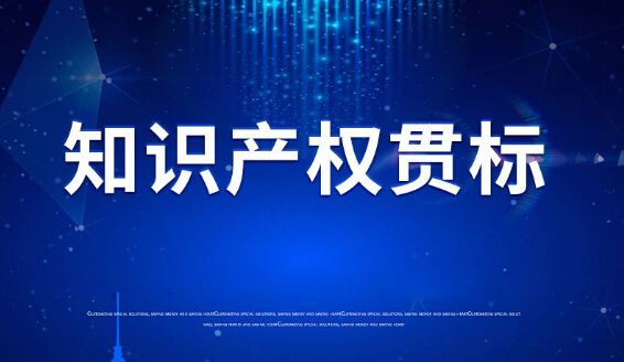 依斯倍环保顺利通过2020知识产权管理体系认证